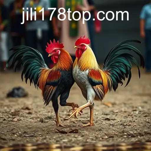 VIP Service JILI178.COM - 24/7 Support and Exclusive Benefits